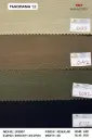 PANORAMA-11